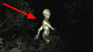 Crash d'un ovni dans une forêt | Alien Discovery | Project Blue Book.