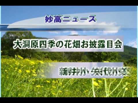 Inauguración del “Jardín de Flores de las Cuatro Estaciones” al pie del monte.