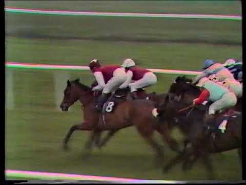 1986 Goffs Irish 1,000 Guineas  Sonic Lady