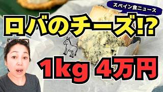 【スペイン食ニュース】タコ養殖中止!? ロバの青カビチーズと日本語「コク味」が世界へ