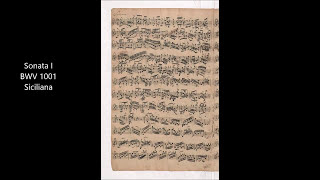 J.S.Bach I Sonata for Violin Solo BWV 1001 Siciliana