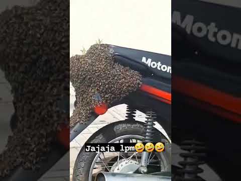 cosas increíbles en Uruguay 🇺🇾 📍Cerro Largo