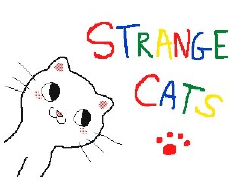 Strange cats 🐾