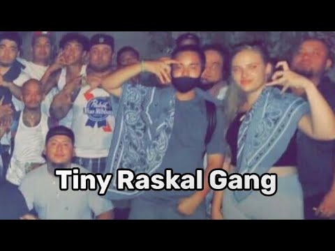 TRG: the Biggest Asian Gang