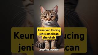 Download lagu Harga Kucing American Shorthair  #kucing #kucinglucu #shorts #americanshorthair mp3