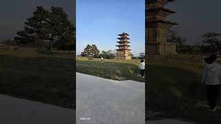 익산 왕궁리 유적지 5층석탑#익산#왕궁리유적지