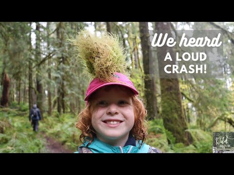 We Heard a Loud Crash! | Family Hike on the Pratt River Trail: Middle Fork Snoqualmie River, WA