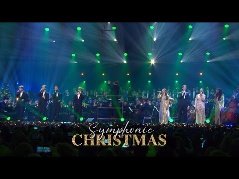 O Dennenboom - Misc Christmas