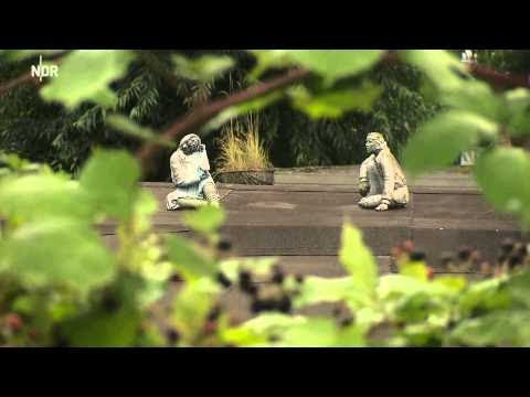 Menschen an der Seeve | die nordstory | NDR