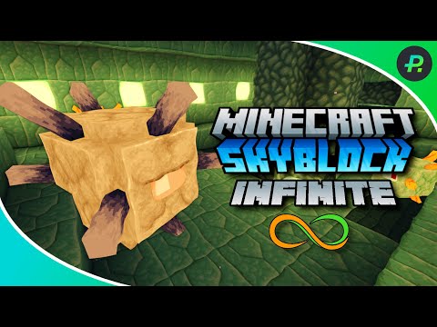 BobertPickle - Skyblock Infinite with Fizedi | Minecraft 1.20 | 012