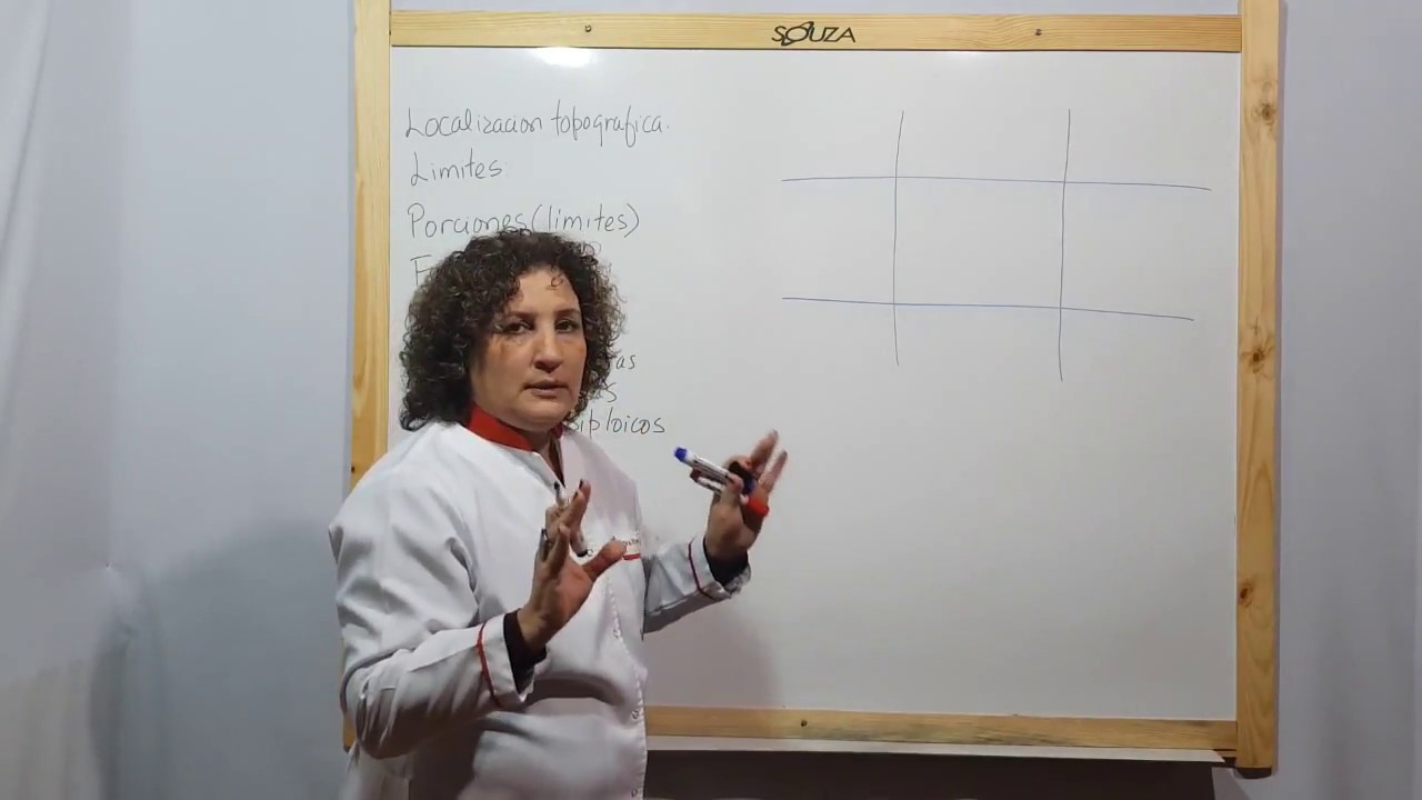 Anatomia del Colon (Ciego, Colon Ascendente, Colon Transverso, Colon Descendente, Sigmoide y recto)