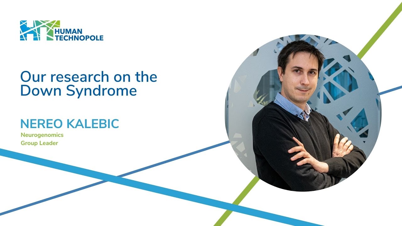 Our research on the Down Syndrome