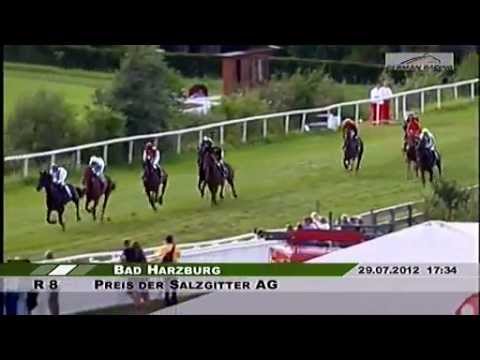 RaceBets com   Die Pferdewette im Internet   Pferdewetten Online 2