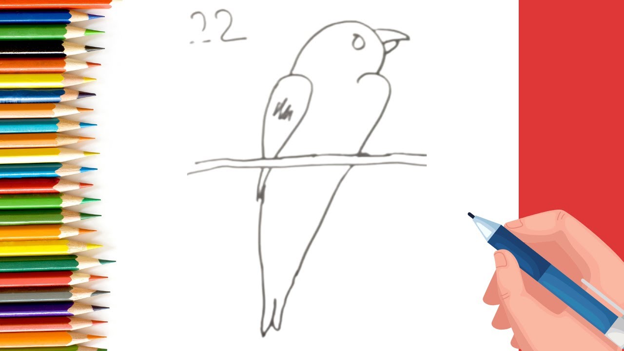 How to Draw Parrot with Number 2222