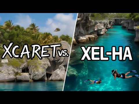 Xcaret vs Xel-Ha What You Need to Know Before You Go!