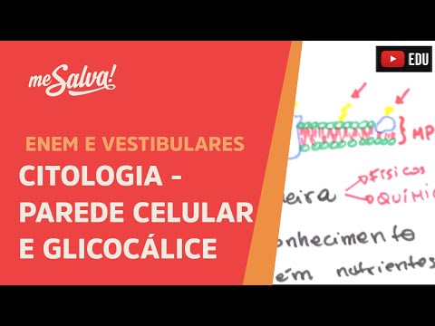 Me Salva! CIT13 - Citologia - Parede celular e glicocálice