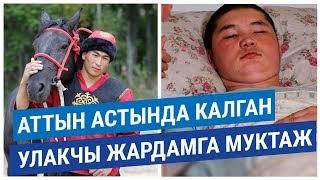 Көк бөрүдө аттын астында калган улакчы жардамга муктаж