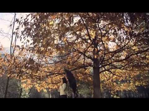 JASNA GOSPIĆ - LIŠĆE SA BALKANA (official video)