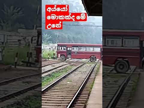 bus stoped 😭😭😭on railway crossing  unexpectedly| Heeloya Srilanka |trainSL|BUS🚒🙏