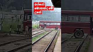 Download lagu 3.36 million views /bus stoped 😭😭😭on railway crossing  unexpectedly| Heeloya Srilanka |trainSL|BUS🚒🙏 mp3 Download lagu 3.36 million views /bus stoped 😭😭😭on railway crossing  unexpectedly| Heeloya Srilanka |trainSL|BUS🚒🙏 mp3