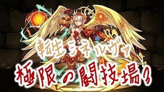 [극한의투기장3 / 제우도라] 전생 미네르바 불경감 100% PT