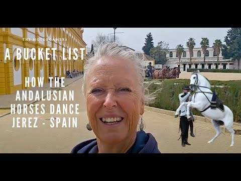 A Bucket List - How the Andalusian Horses Dance