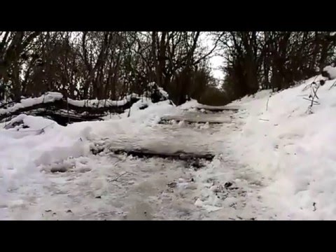 snowline video trail c David Taylor