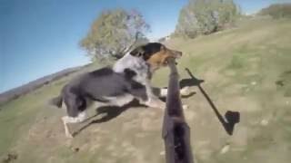 Hond filmt zichzelf tijdens rennen