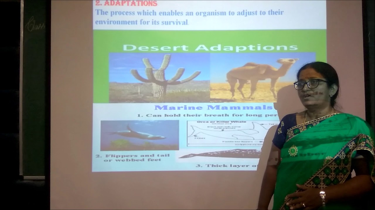 ICSE  CLASS  9  EVA   OUR   ENVIRONMENT  PART I
