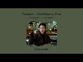 Huckleberry Finn Tempest Slowed Reverb