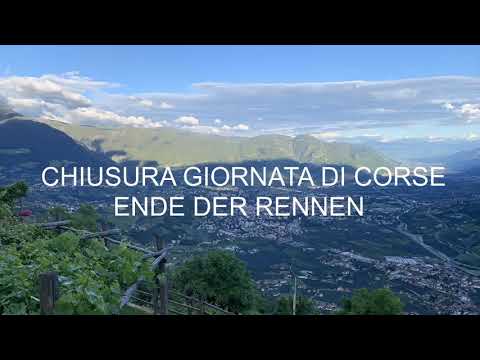 Ippodromo di Merano 26.09.2020