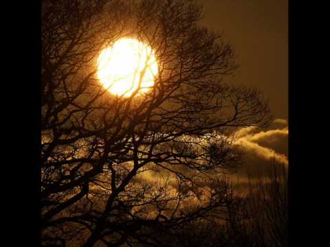 Velvett Fogg -  Once Among the Trees (1969) Psychedelic Rock