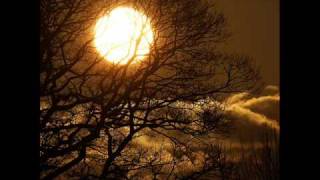 Velvett Fogg -  Once Among the Trees (1969) Psychedelic Rock