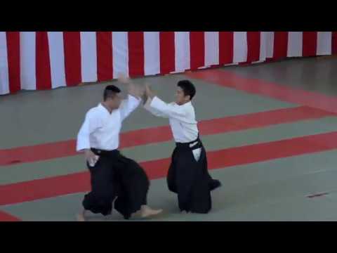 Mitsuteru Ueshiba, Waka Sensei, Hombu Dojo Dojo-cho, Saku 2018