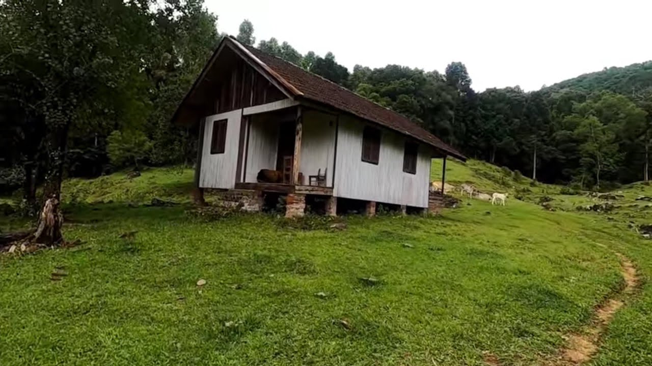 VOVÔ SUMIU VEJA ONDE FORAM ENCONTRÁ-LO 😳