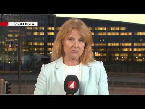 Frerot om Trumps Nato-tal: "Fullkomlig utskällning" - Nyheterna (TV4)