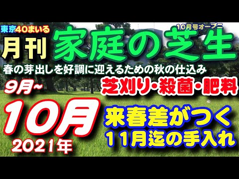 秋の芝生肥料で芝生を冬に備えましょう トピックス