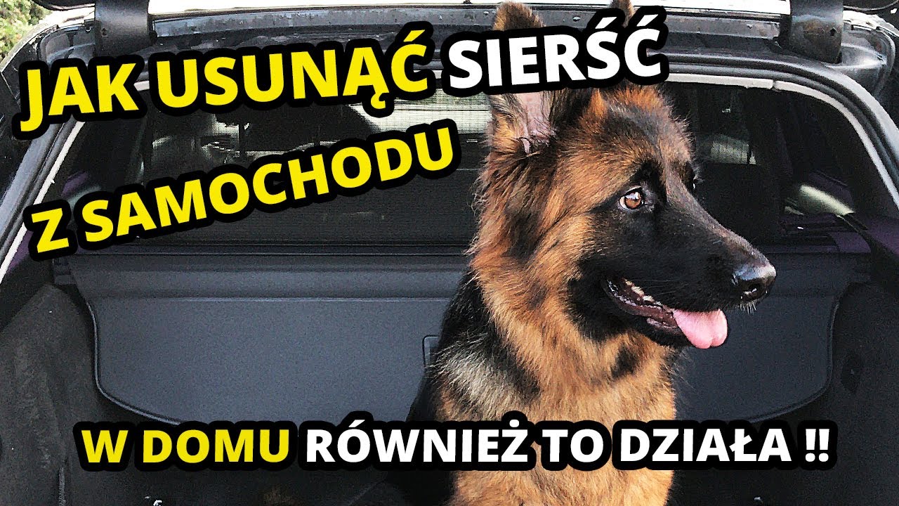 JAK USUNAĆ SIERŚĆ Z SAMOCHODU / WYPOCZYNKU - Tanie narzędzia !