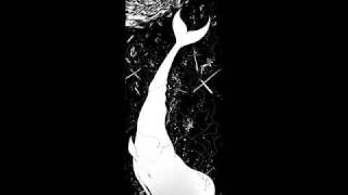 Vietnam Blues : Junior Wells, Otis Rush, Jack Myers, Freddie Below