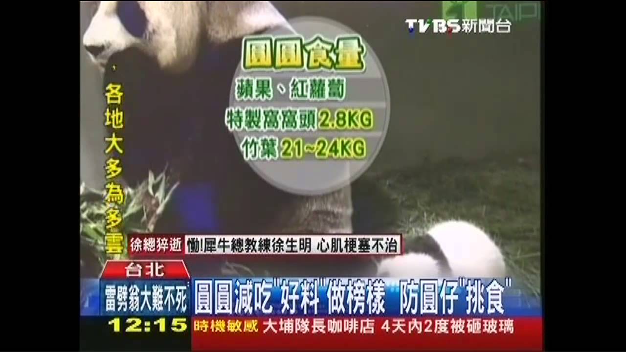 圓圓減吃「好料」做榜樣 防圓仔「挑食」