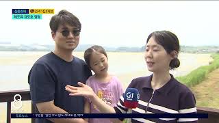 [G1뉴스]해조류에 점령당한 경포호 '신음'
