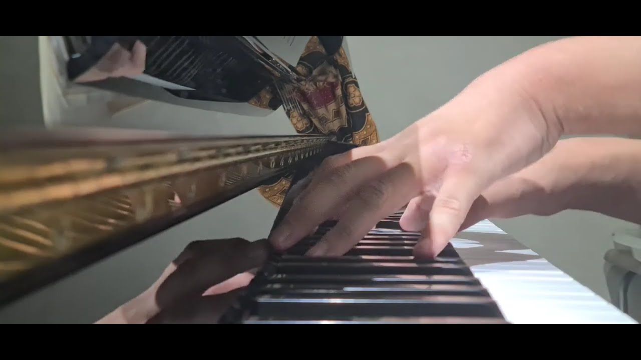 chopin preludes op 28 13-24