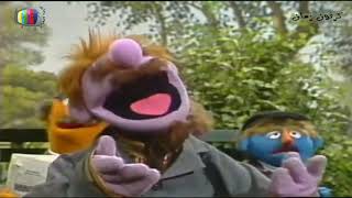 Iftah Ya Sim Sim - Big Round Nose