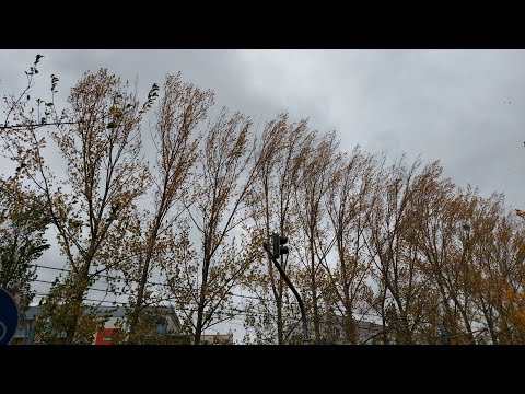 STURM IGNATZ IN SACHSEN, MIT TEMPO 110 KMH.