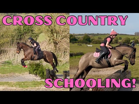 OUR FIRST XC SCHOOLING SESSION OF 2025! Retraining of a racehorse