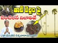 తాటి బెల్లం పై సంచలన నిజాలు ఇవే Thati Bellam Dr 