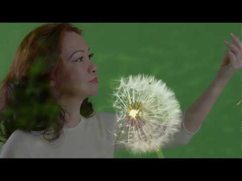 Hững hờ - Trọng Bắc