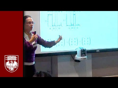 Natalia Komarova on Language Evolution