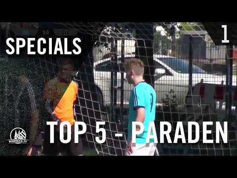 TOP 5 Paraden / Saves - 2016 | RHEINKICK.TV