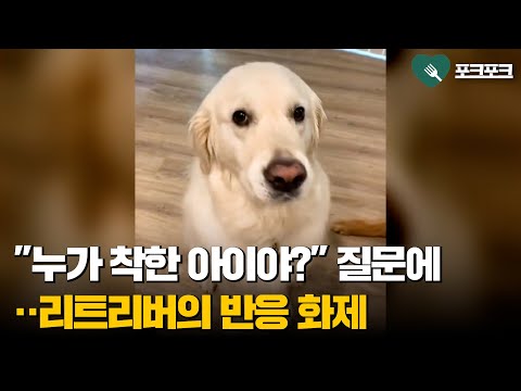 아이콘